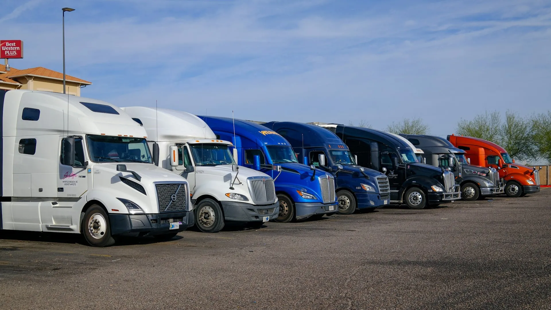 A lineup of late-model semi sleepers representing the clean, modern fleet Illyro Logistics runs out of its Bolingbrook, Illinois main hub.